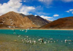 Pangong Lake to Leh via Chang La – A Journey through Passes